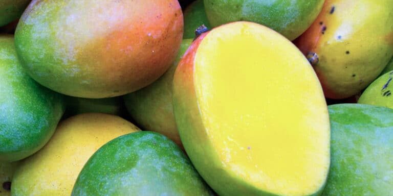 How-to-tell-if-mangos-are-ripe-768×768