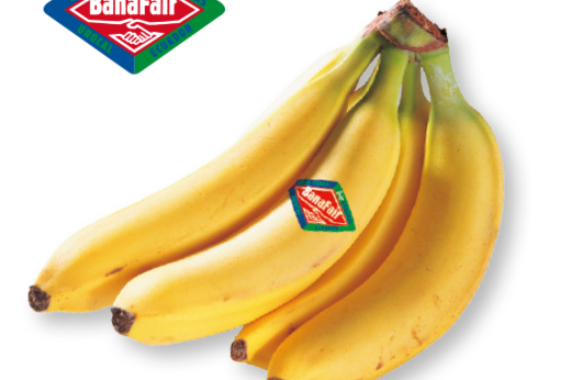 csm_banafair_bio_bananen_d9c1d52f71