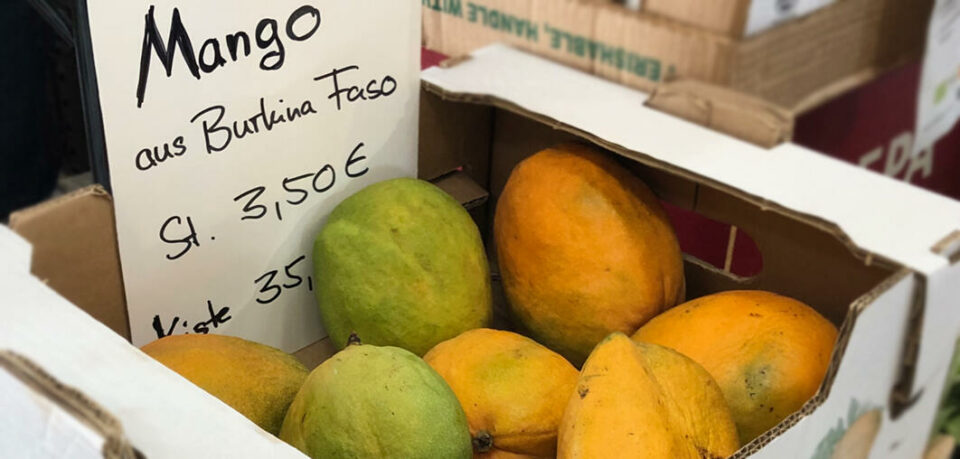 Mangos_fairtrade_frisch Mangos aus Burkina Faso