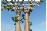 affenrotbaum