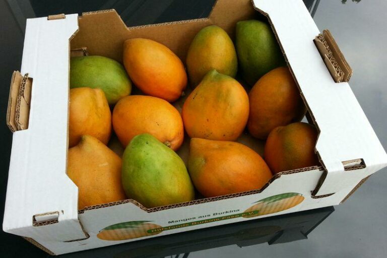 Mangokiste-Ilo