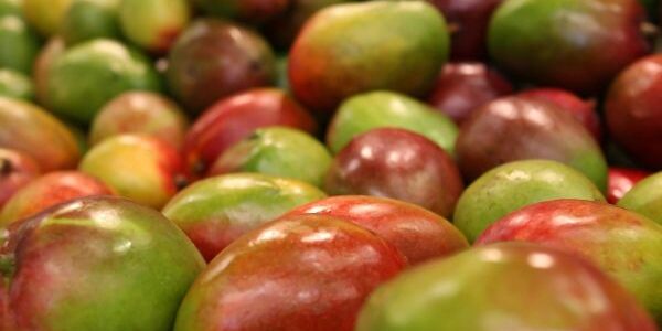 Mangos_klein Weltladen Mangoaktion