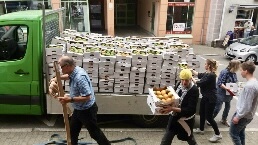 Mangoaktion_2026_Ausladen Ausladen der Mangos aus dem LKW 2026