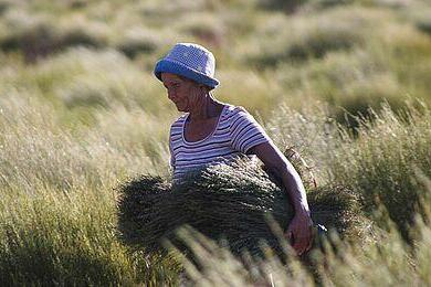 GEPA-The FairTradeCompany