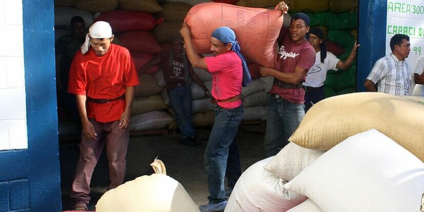 csm_Fedecocagua_Lagerarbeiter-Kaffee-verladen_55127e2a56 – Kopie