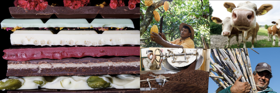 Screenshot 2025-10-10 195031