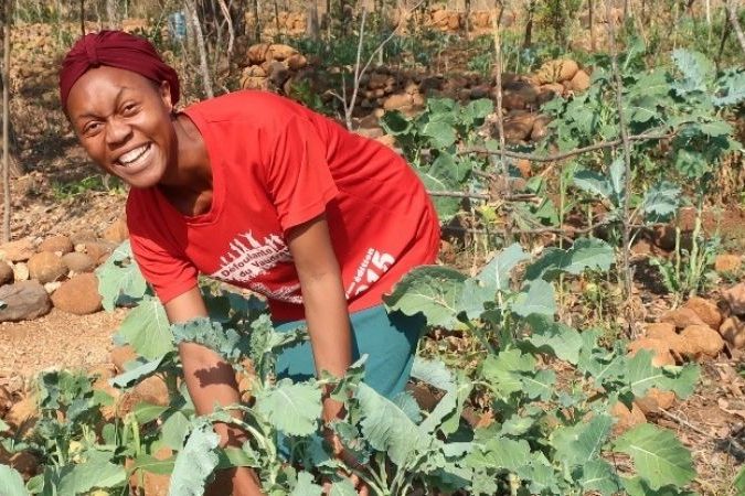 projekt-simbabwe-hero