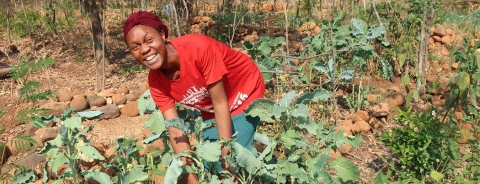 projekt-simbabwe-hero