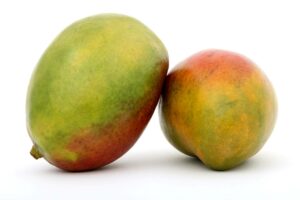 Frische Mangos aus Burkina Faso!