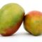 Frische Mangos aus Burkina Faso!