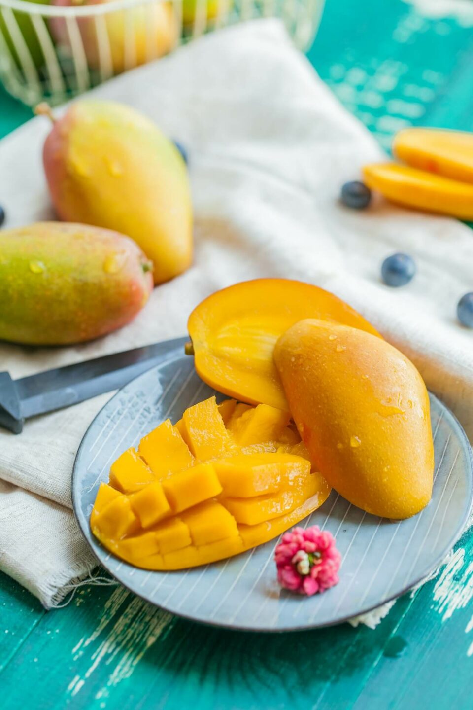 frische_mangos_aus_burkina_faso_2 Frische Mangos aus Burkina Faso!