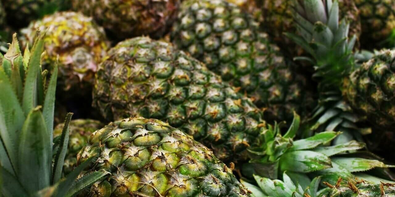 ananas