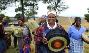 Korbflechterinnen, Kooperative Gone Rural, Swaziland/Afrika