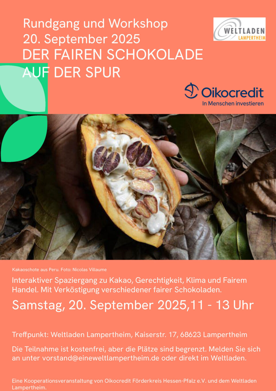 Der fairen Schokolade auf der Spur