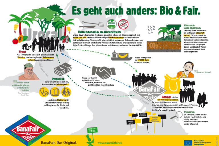 Banafair_Grafik