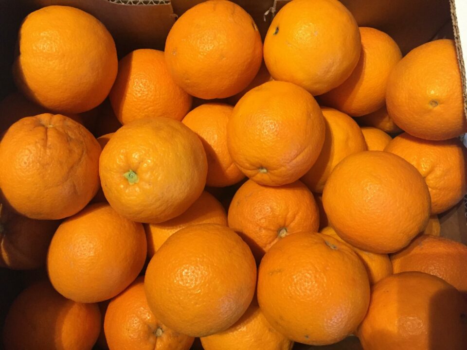 Orangen