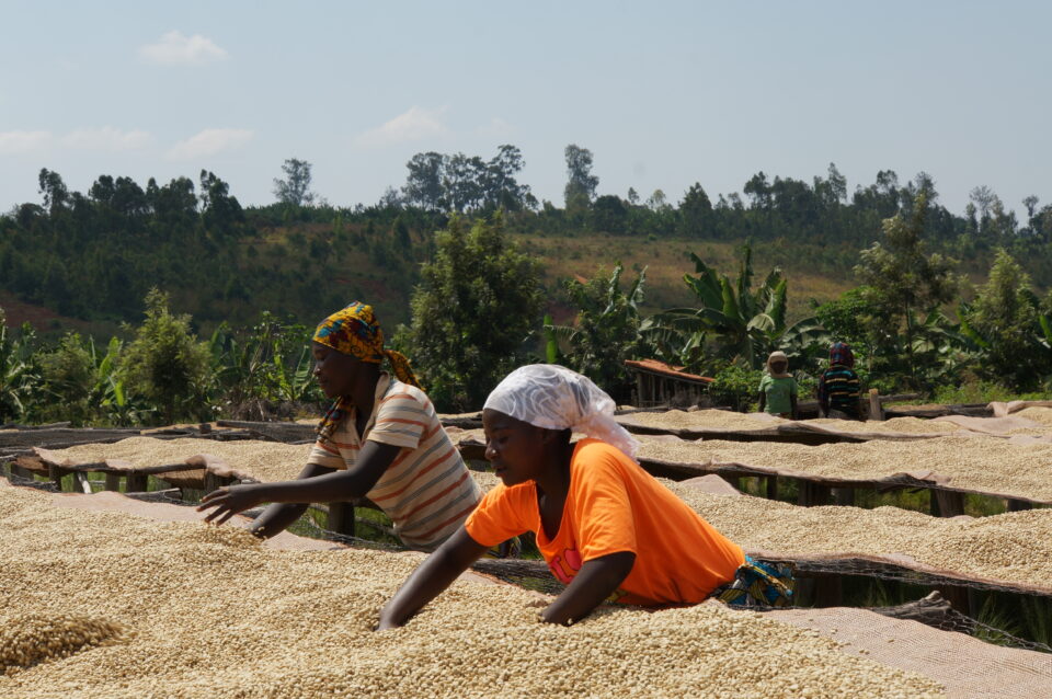 mboneramiryango-dwp-die-weltpartner_(2)