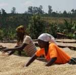 mboneramiryango-dwp-die-weltpartner (1)