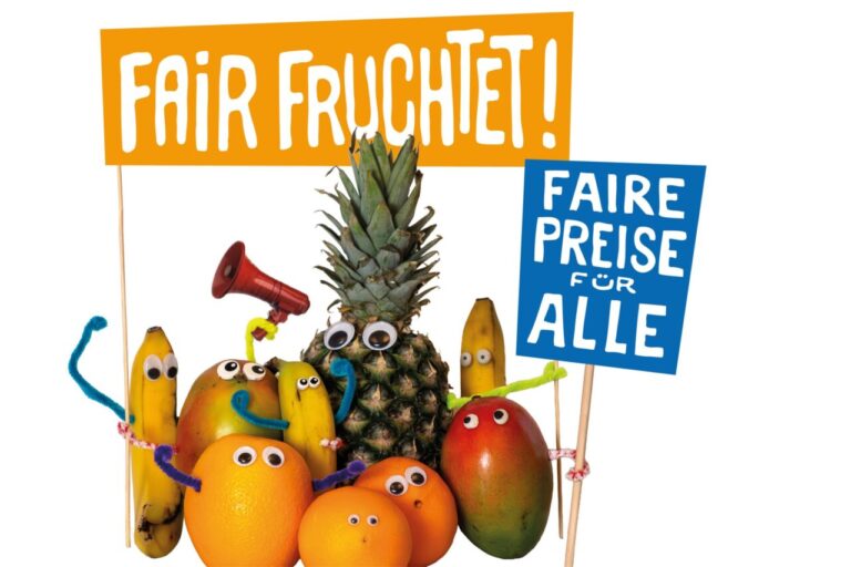 wlt26_header_schmal