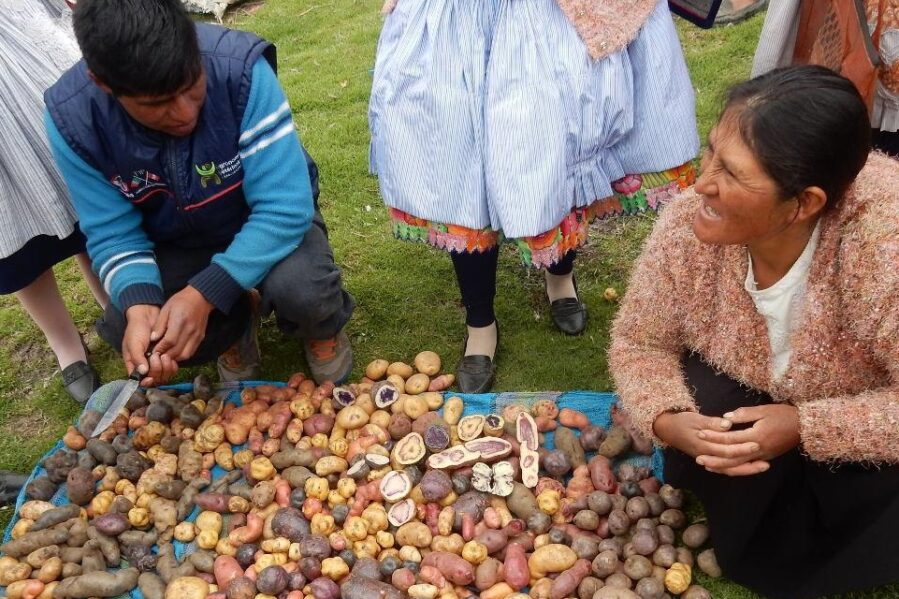 Beitragsbild_agropia-dwp-die-weltpartner-bild5