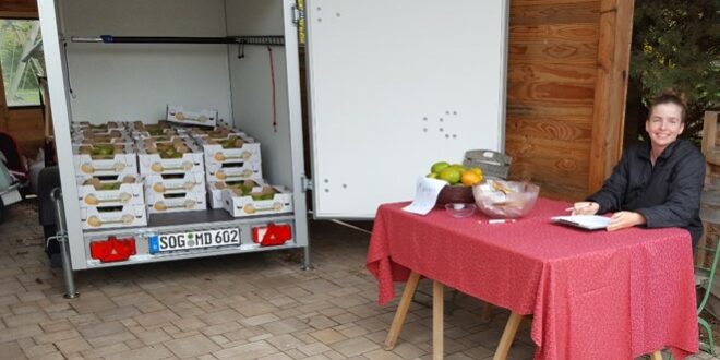 Fairtrade Altenstadt Mangoaktion