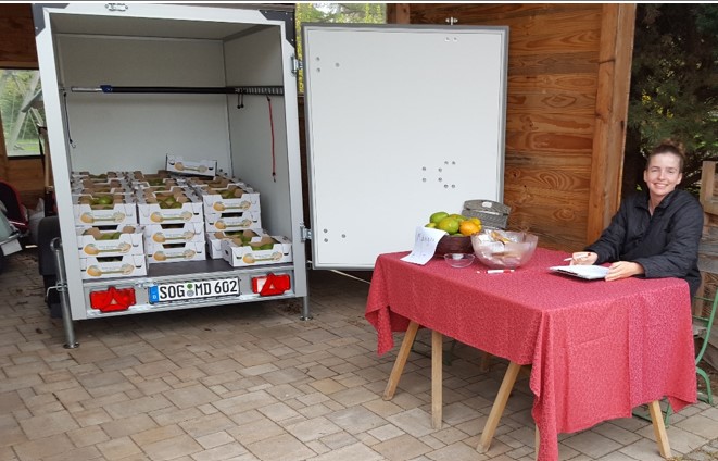 Fairtrade Altenstadt Mangoaktion