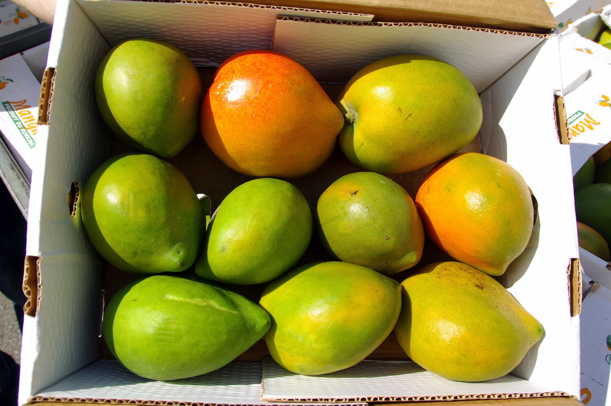 Kiste_Mangos_schoene_Fruechte_089668d00c