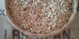 5489AB98-046D-45BF-881C-0B7DC89F33A5_4_5005_c