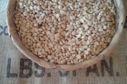 5489AB98-046D-45BF-881C-0B7DC89F33A5_4_5005_c