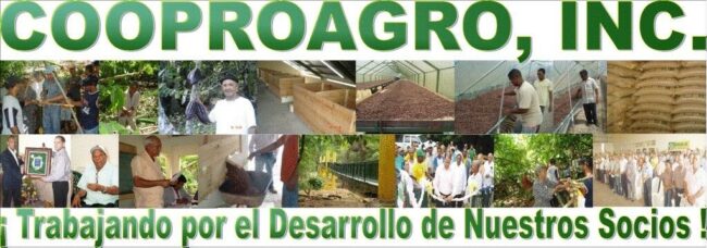 710F0A22-8B49-4B9F-9022-7CC84DA1A7A9_4_5005_c