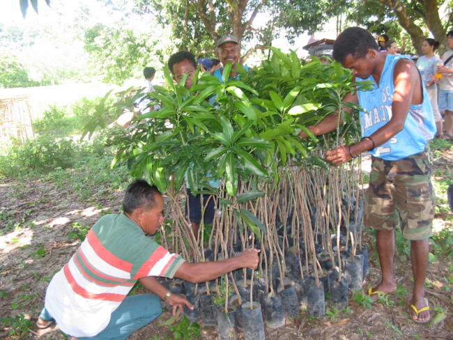 WeltPartner-Mango-und-Aufforstung(1)