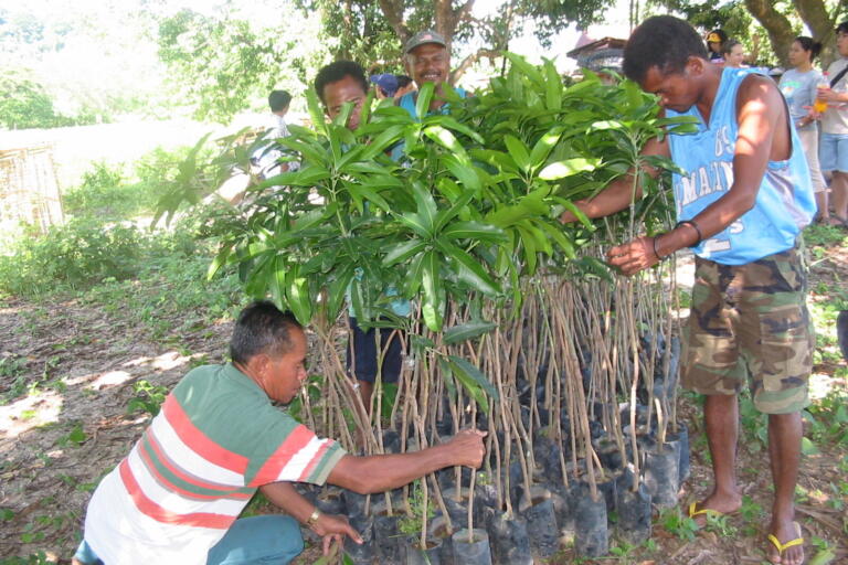 WeltPartner-Mango-und-Aufforstung(1)