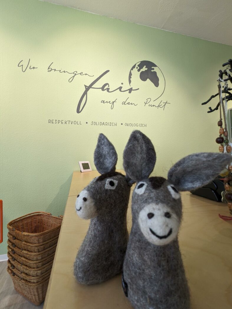 PXL_20230718_111908573