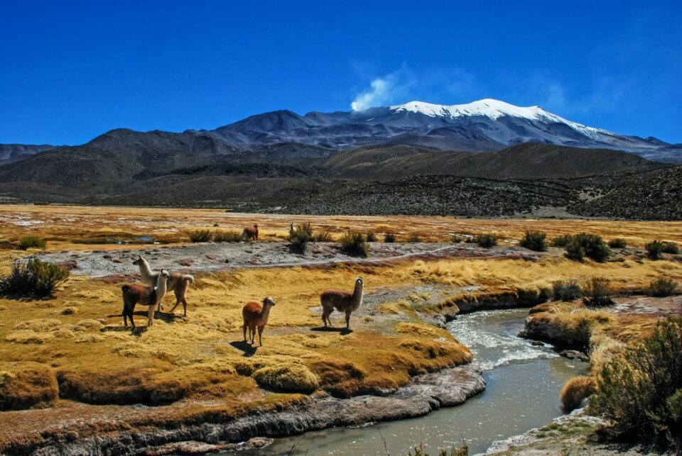 hugo-kruip-PBB6ElHm_IQ-unsplash