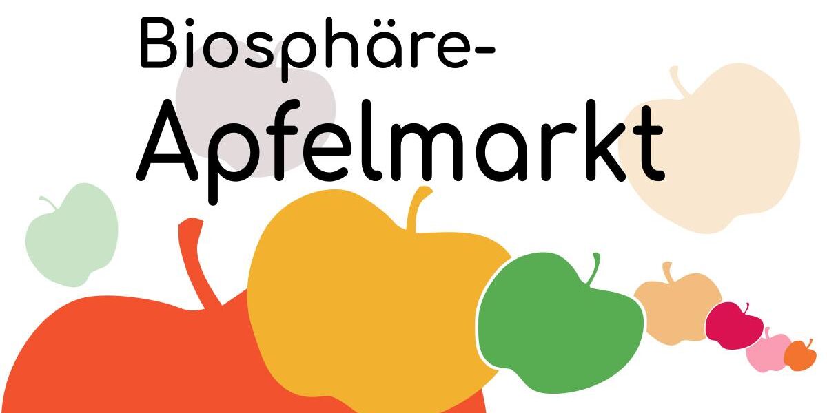 540116816_1434685348660815_3220466443545381741_n