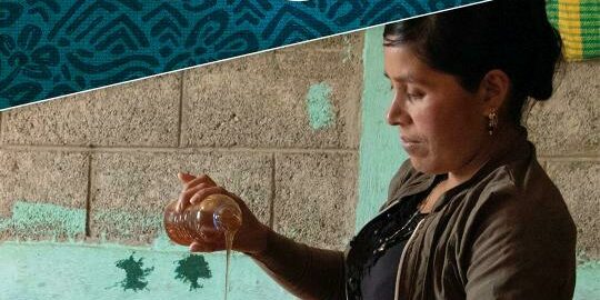 honig_guatemala_1080x1080__1